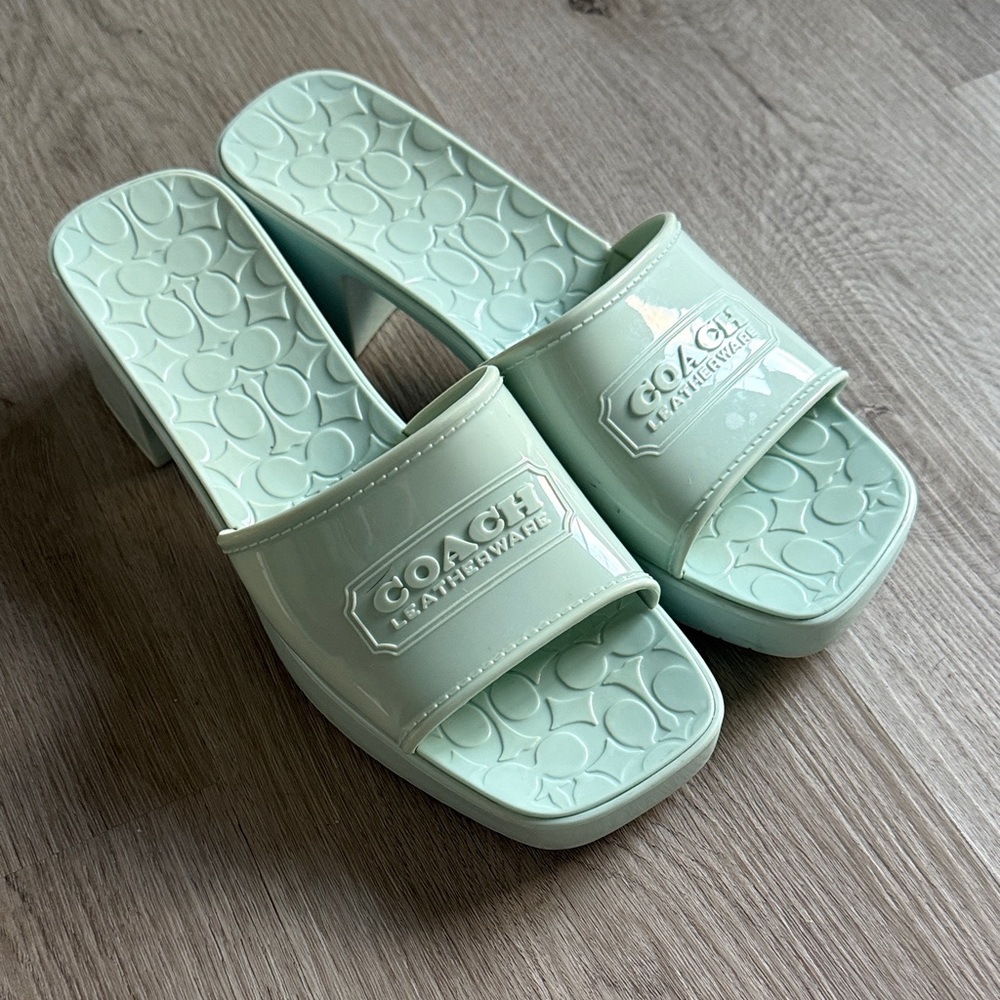 COACH Scarlett Rubber Block Heel Signature Jelly Sandals